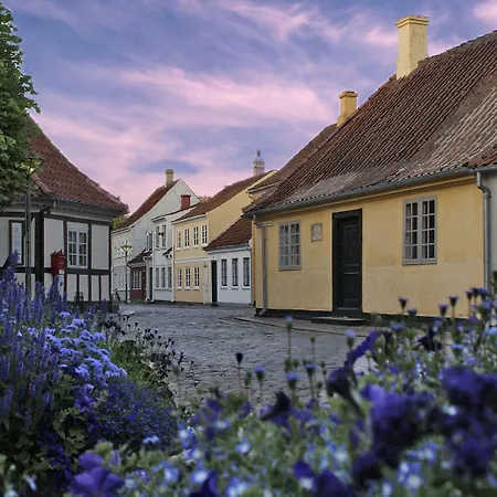 Nattergalen ホテル オーデンセ